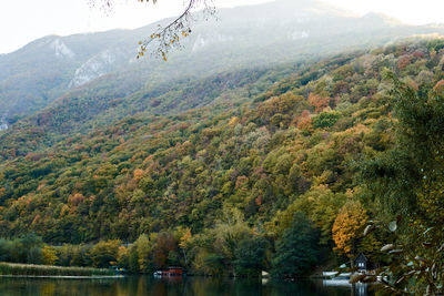 Scenic view of lake in forest during autumn