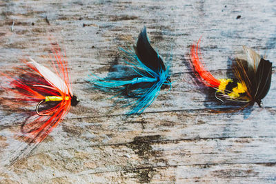 High angle view of starfish on table