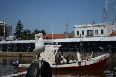 Statue on boat in water