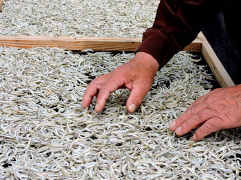 Cropped hands of man drying fish