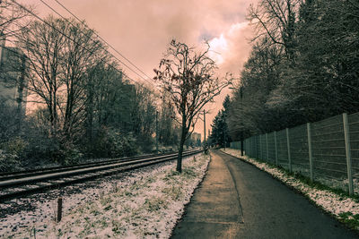 Railroad tracks amidst bare trees against sky