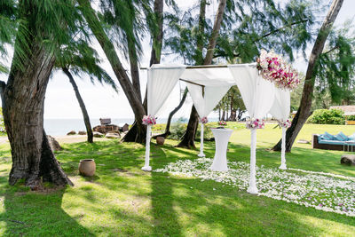 View of chairs by trees against sky