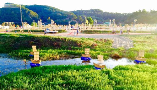 Scenic view of grassy field