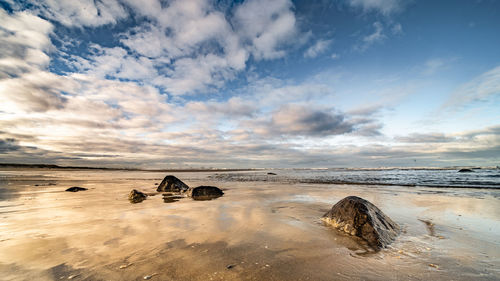 Scenic view of rocks on beach against sky