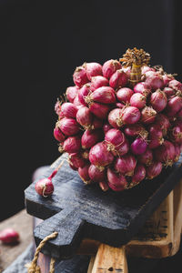 Close-up of red berries on plant
