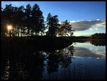 Reflection of trees in lake