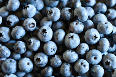 Full frame shot of blueberries