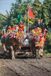 Men in traditional clothing