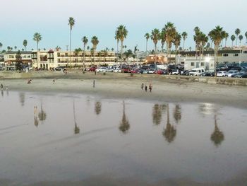 People by palm trees in city against clear sky