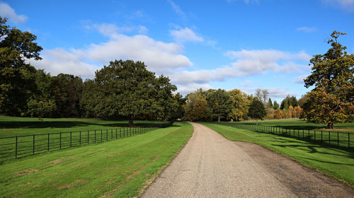 Road amidst trees and plants against sky