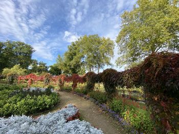 Plants and trees in park against sky