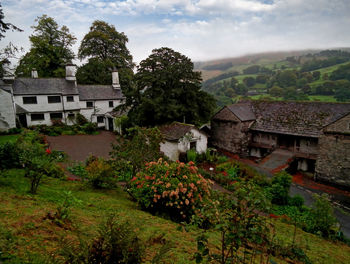 Trees and houses on landscape against sky