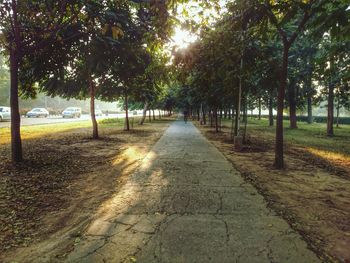 Road passing through forest