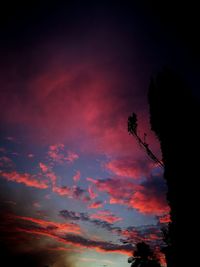 Low angle view of silhouette trees against dramatic sky