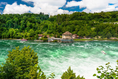 Beautiful, turquoise rhine river flowing from a waterfall in northern switzerland.