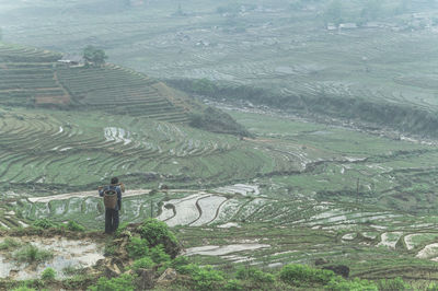 Rear view of farmer standing by rice paddy