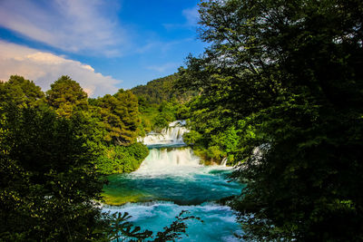 Scenic view of river amidst trees in forest against sky