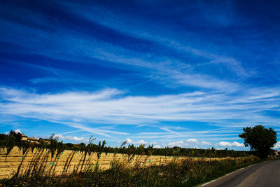 Empty road along countryside landscape