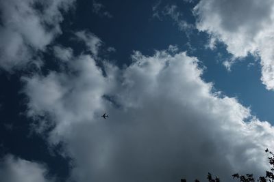 Low angle view of birds flying against cloudy sky