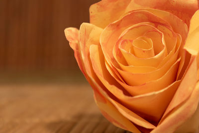 Close up of paper rose against brown background 
