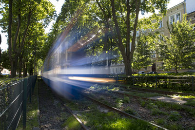 Blurred motion of trees in city