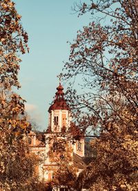 Low angle view of trees and building against sky