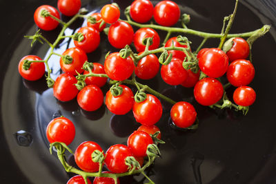 High angle view of tomatoes in water