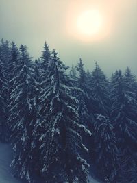 Scenic view of snow covered landscape