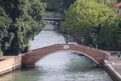 Arch bridge over river amidst trees