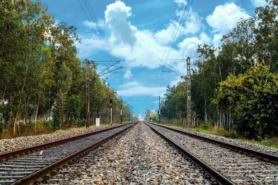 Railroad tracks amidst trees against sky