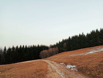 Road amidst trees against clear sky