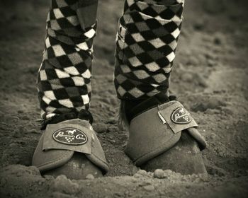 Close-up of shoes on the ground