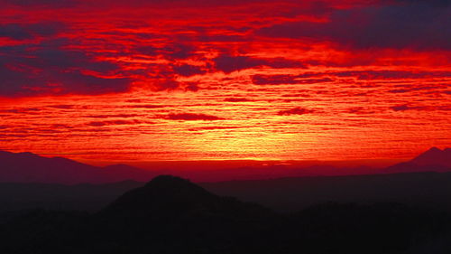 Silhouette of trees against sky during sunset