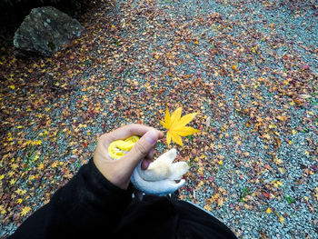 Close-up high angle view of hand holding autumn leaf