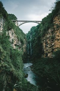 Bridge over river amidst trees against sky