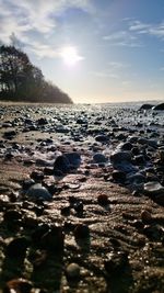 sunlight