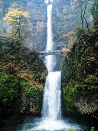 Scenic view of waterfall