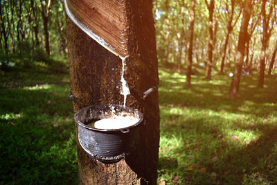 Close-up of water fountain