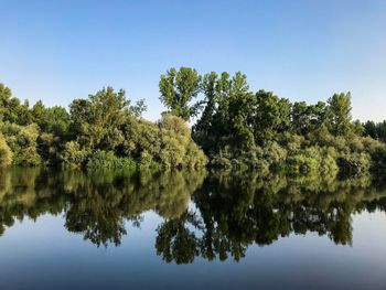 Reflection of trees in lake against clear sky