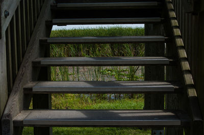 Close-up view of grass