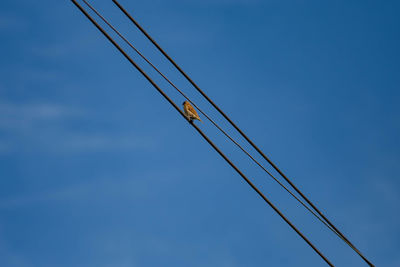 Low angle view of crane against blue sky