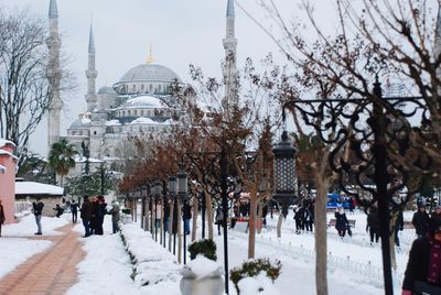 Snow covered trees in city