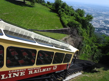 Train on railroad track amidst trees