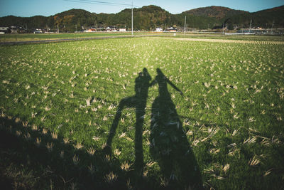 Shadow of people on field