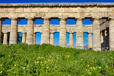 Italy, sicily, segesta - greek temple counts of 36 columns