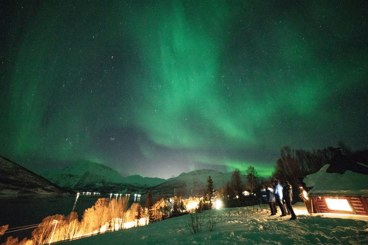 PANORAMIC VIEW OF ILLUMINATED PARK AGAINST SKY DURING WINTER