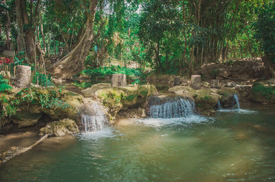 Scenic view of waterfall in forest