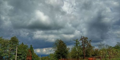 Panoramic view of trees against storm clouds