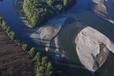 High angle view of river amidst trees