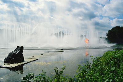 Panoramic view of turtle against sky